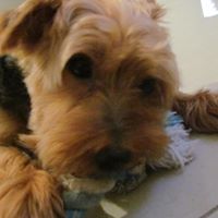 Louie Benjamin Photo 14