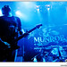 Mark Munroe Photo 18