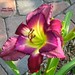 Jerry Salter Photo 17