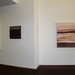 Anne Firestone Photo 16