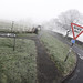 James Starkey Photo 36