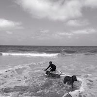 Steven Mcgregor Photo 7