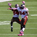 Earnest Williams Photo 38