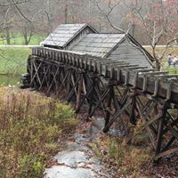 Susan Whitesell Photo 10
