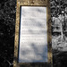 Norman Robertson Photo 19