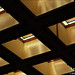 Zon Lloyd Photo 3