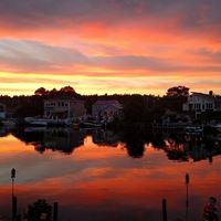 Susan Ruggiero Photo 9