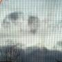 Mary Nation Photo 19