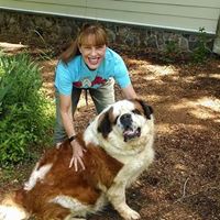Patricia Shafer Photo 20