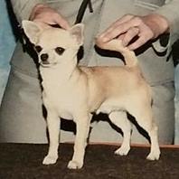 Christine Randall Photo 7