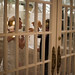 Jason Mcnutt Photo 10