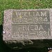 William Hamm Photo 18