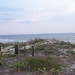 Augustine May Photo 8