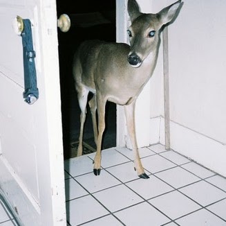 Aaron Kelley Photo 7