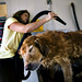 Tracey Whitten Photo 15