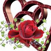 Sanjay Thakur Photo 20