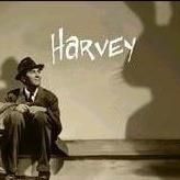 Gail Harvey Photo 30