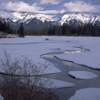 Debra Coleman Photo 24