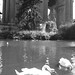 Gerry Swan Photo 13