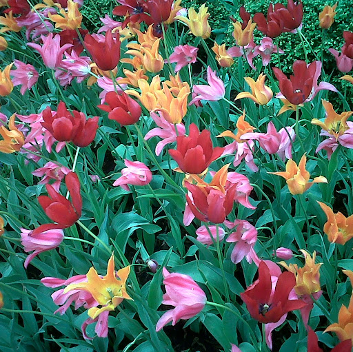 Jill Oswald Photo 23