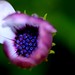 Sharad Gupta Photo 34