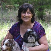 Connie Dickinson Photo 6