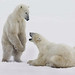John Lowman Photo 51