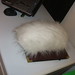 John Tribble Photo 12