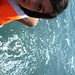 Alejandra Limon Photo 15