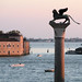 Mark Plumer Photo 8