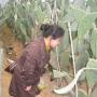 Lin Zhang Photo 8