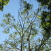 Nancy Weeks Photo 25