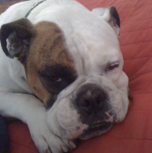 Roscoe Jones Photo 7