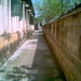 Ho Kim Photo 30