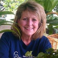 Debra Romero Photo 20