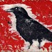 Renee Crow Photo 19