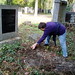 David Schwarz Photo 31