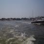 Sandy Blevins Photo 18