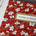 Kathlyn Flowers Photo 12