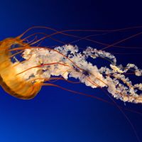 Johnny Hood Photo 27