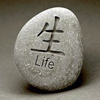 Ji Chen Photo 26