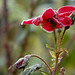 Cheryl Frost Photo 22