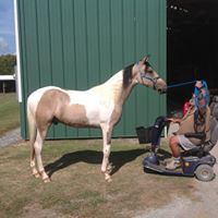 Jennifer Batts Photo 17