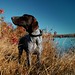Sandy Chapman Photo 14