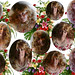 Stephanie Monroe Photo 13