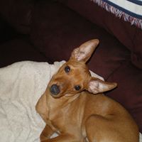 Judith Dupee Photo 4