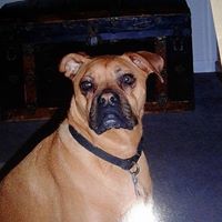 Cathy Short Photo 16