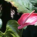 George Oakes Photo 34