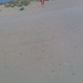 Betty Beach Photo 19
