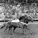Neal Schmidt Photo 14